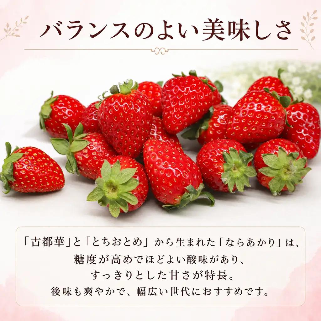 【2027年1月～発送】ならあかり 260g×2パック