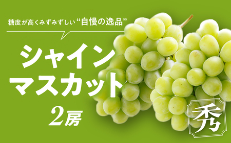 "自慢の逸品” シャインマスカット 2房 秀 山梨シャインマスカット