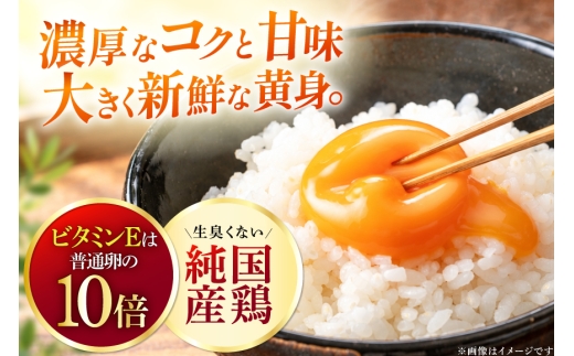 卵 愛知県岡崎産 岡崎おうはん平飼い卵 60個入 卵54個＋割れ保証6個 [ 太田商店 愛知県 岡崎市 ok23bzx020003] たまご 玉子 タマゴ 岡崎おうはん 岡崎 60個