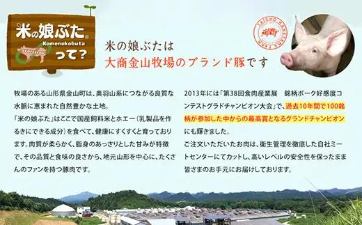 米の娘ぶたカレー 180g×6袋 豚肉 ブランド豚 高級 冷凍 レトルト 小分け 6食 お手軽 東北 山形 金山町 F4B-0823