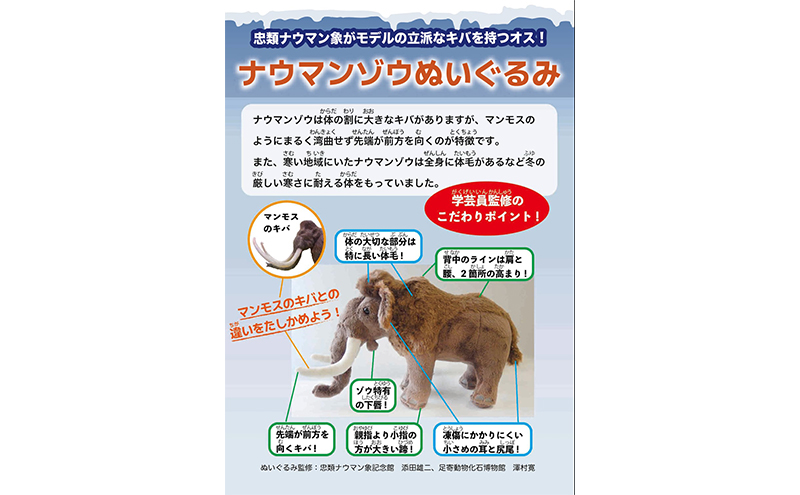 [北海道 幕別町]学芸員監修＆子どもたちと作った！忠類ナウマンゾウぬいぐるみ1体 トレカ付き（小中学生制作のオリジナル学びの下げ札付き）【 ぬいぐるみ おもちゃ ふわふわ もこもこ ゆるキャラ トレカ