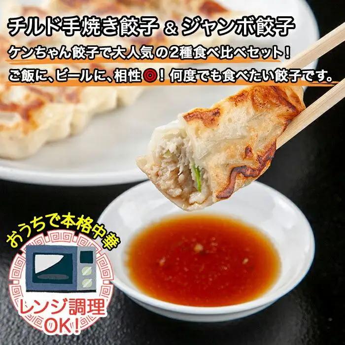 新潟県 南魚沼市 チルド手焼き餃子・ジャンボ餃子 食べ比べ セット 各3パック 計42個 ケンちゃん餃子 冷蔵 中華 点心 惣菜 ビール お取り寄せ グルメ