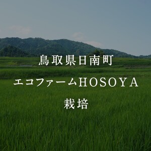 令和7年産 海と天地のめぐみ米(コシヒカリ)白米 5kg エコファームHOSOYA 鳥取県日南町