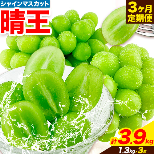 ぶどう 3ヶ月 定期便 [2025年先行予約] シャインマスカット 晴王 約1.3kg 岡山県産《9月上旬-1１月末頃出荷(土日祝除く)》 ハレノフルーツ マスカット 送料無料 岡山県 浅口市 フルーツ 果物 贈り物 ギフト 国産 岡山県産 くだもの【配送不可地域あり】
