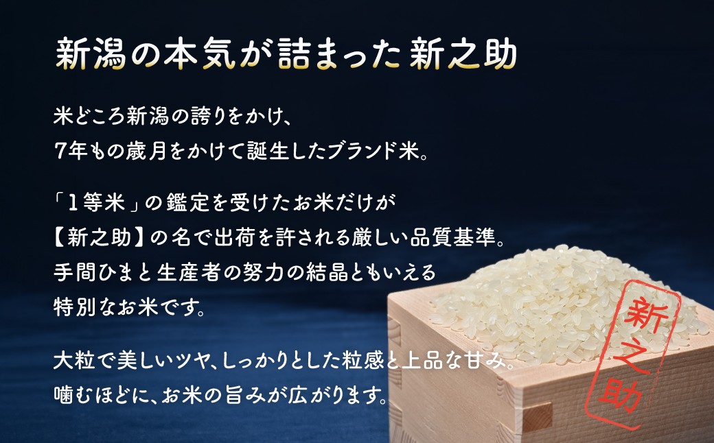 佐渡島産 新之助 白米25kg(5kg×5袋）令和7年産 【食の宝島佐渡】