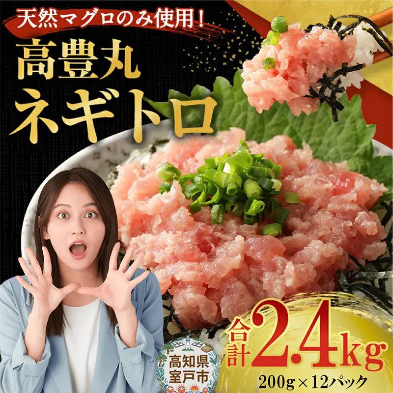【ねぎとろ】高豊丸 ねぎとろ 2.4kg tk137