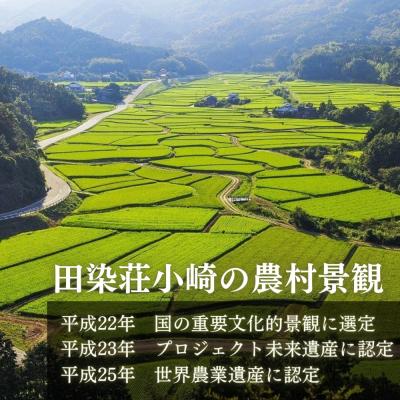 ふるさと納税 豊後高田市 荘園米 【精米済】5kg 米 お米 精米 ひのひかり ヒノヒカリ |  | 03