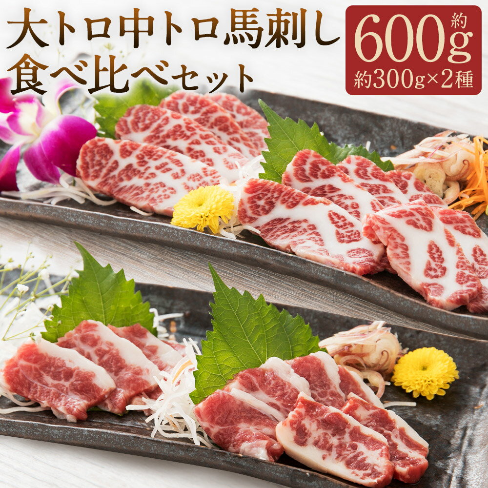 【ふるさと納税】大トロ・中トロ 馬刺し食べ比べセット 合計約600g 約300g×2種類 専用醬油150ml×1本 ブロック 馬刺し 馬肉 刺身 トロ 醤油付き 冷凍 桜屋 送料無料