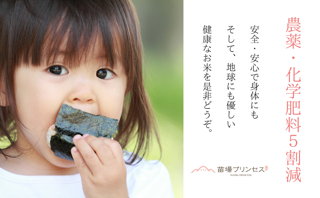 【令和8年産先行予約】【3ヶ月定期便】【農薬化学肥料5割減】魚沼産にじのきらめき苗場プリンセス特別栽培米 精米27kg(9kg×3)計81kg | 苗場プリンセス米 おすすめ 人気ギフト 新潟県 津南
