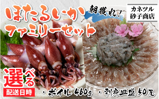 ほたるいか ボイル＆刺身皿盛りファミリーセット※着日指定は備考欄へ 【26年3月中旬以降順次発送中】【生 ほたるいか ホタルイカ 小分け 便利 冷凍 大人気 おすすめ 国産  ホタルイカ 水揚げ いか イカ ふるさと納税 おすすめ 1万円 カネツル砂子商店 冷蔵  朝どれ おつまみ 旬 富山】