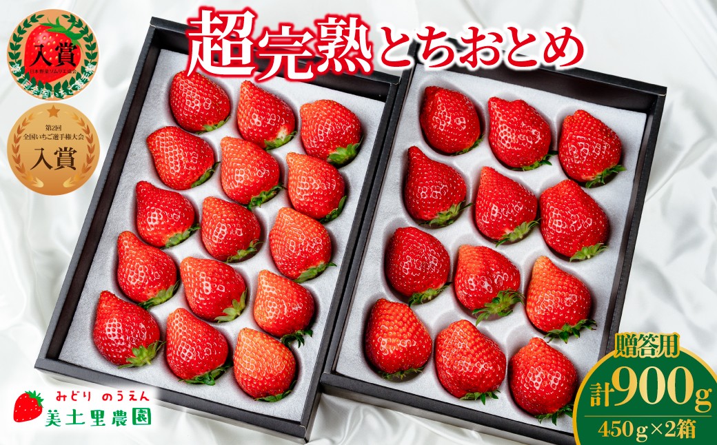 
            【先行受付：選べる発送月】いちご「茂木完熟いちご」　美土里農園の朝採れ とちおとめ ギフト 450g×2箱 合計 900g | いちご イチゴ 苺 とちおとめ 完熟 甘い あまい 果物 フルーツ 贈答 ギフト プレゼント 美土里農園 栃木県 茂木町
          