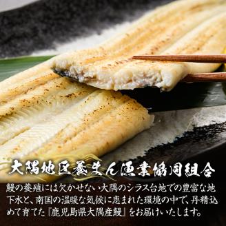 【土用の丑の日対応6/30入金まで】鹿児島県大隅産うなぎ白焼き3尾　計360g【国産】