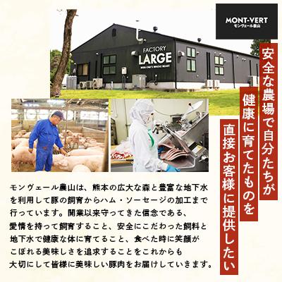 ふるさと納税 水俣市 熊本県産モンヴェールポーク自家製メンチカツ15個(3個×5パック) |  | 02