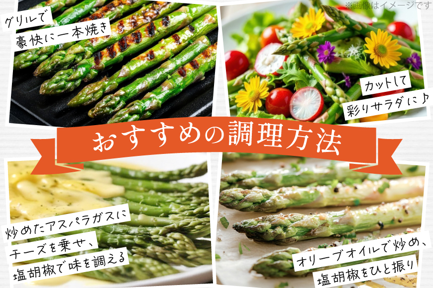 アスパラ アスパラガス 春芽アスパラガス 4kg L サイズ以上 [はゆっちFARM 長崎県 東彼杵町 hs42bag360019] アスパラ あすぱら 新鮮 春