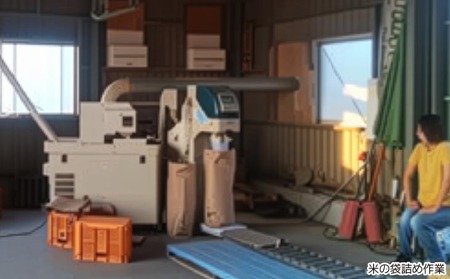 令和７年　淡路島産　新米にこまる ５kg ◆配送10月中旬以降