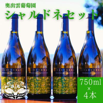 ふるさと納税 雲南市 シャルドネ(白ワイン)750ml×4本セット 辛口