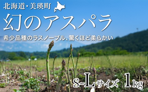 【先行予約！令和8年産】幻のアスパラ「ラスノーブル」L～Sサイズ 1kg グリーンアスパラ おおとり | グリーンアスパラ アスパラガス ラスノーブル あすぱら あすぱらがす 北海道 美瑛 美瑛町 北海道産 びえい 美瑛産 採れたて 新鮮 旬 産地直送 野菜[015-141]