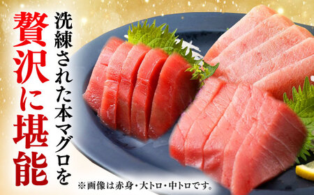 【全3回定期便】対馬産 本マグロ 中トロ100g ≪対馬市≫【桐谷商店】 トロの華 対馬 新鮮 マグロ 中トロ トロ 鮪 刺身[WAQ116]
