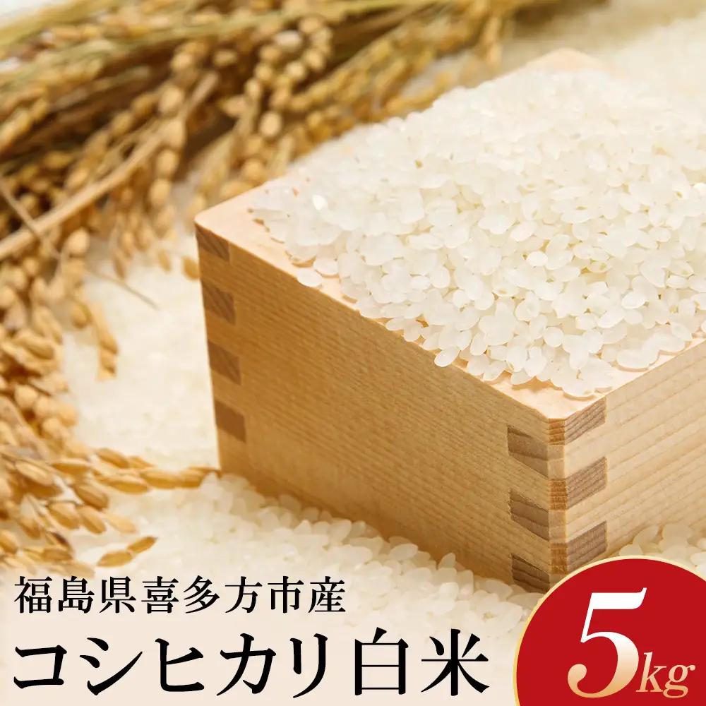 【令和8年産先行予約！】特別栽培米コシヒカリ　白米　5kg　[米・食味分析鑑定コンクール国際大会 特別優秀賞受賞]　【07208-0998】