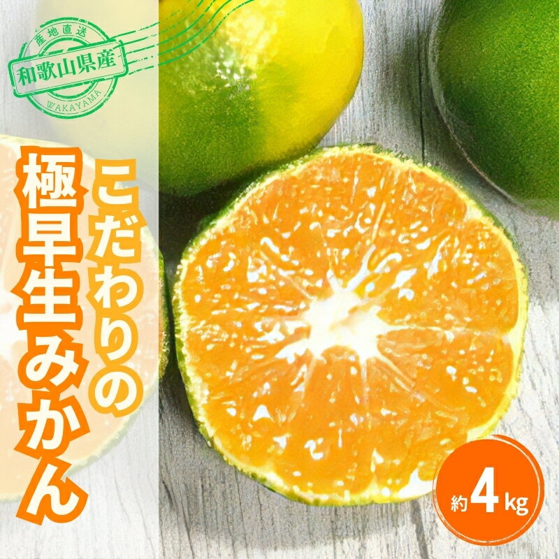 【ふるさと納税】 ＼光センサー選別／農家直送 こだわりの極早生みかん 約4kg 数量限定 有機質肥料100% サイズ混合 ※2025年9月下旬より順次発送予定（お届け日指定不可） 有田産 有田 みかん