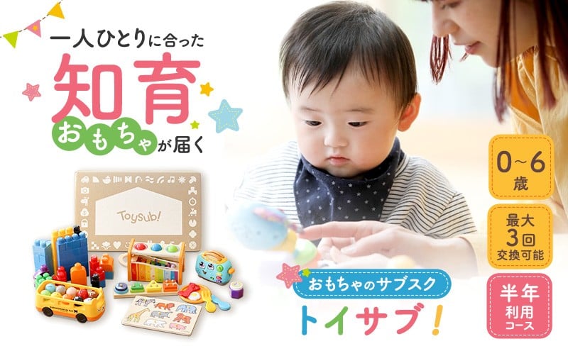 
                  おもちゃのサブスク「トイサブ！」(半年利用コース) [№5346-1114]
                