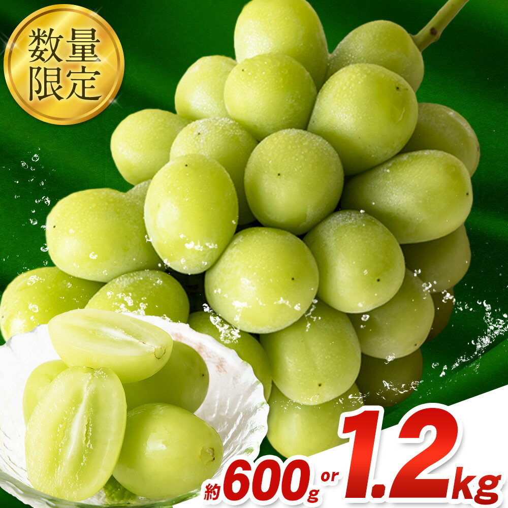 【ふるさと納税】秀品 シャインマスカット 岡山 秋旬 数量限定 大粒 約600g or 1.2kg 1房 2房 産地直送 葡萄 果物 秀品 スイーツ フルーツ デザート 岡山県 笠岡市 簡易包装 《9月中旬～11月上旬頃に出荷予定(土日祝除く)》