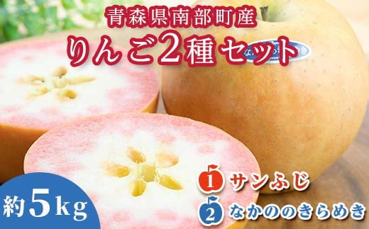 青森県 希少りんご サンふじ＆なかののきらめき 約5kgセット 【泉山果樹園】 青森りんご ふじ なかののきらめき リンゴ 林檎 アップル あおもり 青森 青森県 南部町 三戸 南部 果物 くだもの フルーツ 2種セット F21U-276