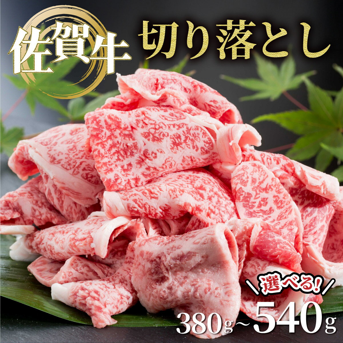 【ふるさと納税】＜選べる容量＞佐賀牛切り落とし (380g/540g) / 佐賀牛 切落し ブランド牛 A5ランク相当 牛肉 小分け