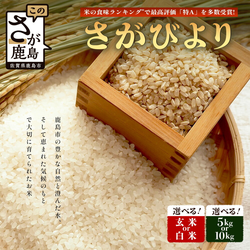 【ふるさと納税】【鹿島市産】＼生産者直送／ さがびより　さがびより 佐賀県産さがびより 佐賀県鹿島市 お米 米 精米 玄米 ふるさと納税 お米 ご家庭用米 主食ギフト 美味しいお米 お取り寄せ 贈答用米 食卓応援