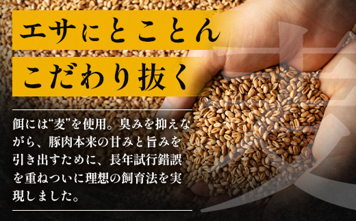 《先行受付～2026年1月中旬より順次発送～》【定期便全3回】ひかり麦豚定期便 ≪月替わりで楽しむ豚肉セット！しゃぶしゃぶ・ロース肉・焼肉セットをお届け！≫ 冷凍 HM-18 | 肉 お肉 にく 豚肉