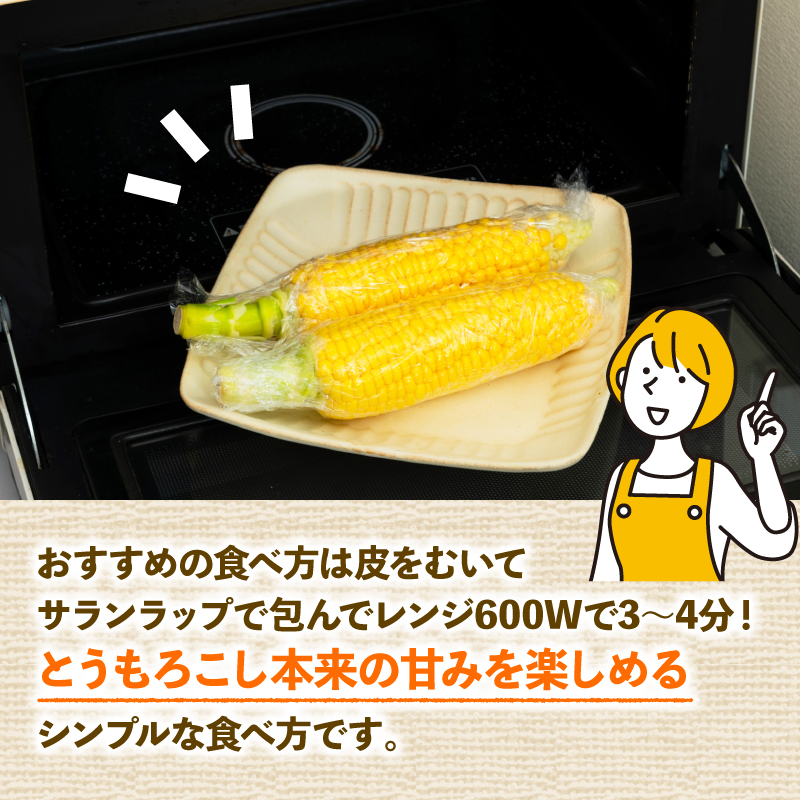 とうもろこし 8本入り ドルチェドリーム トウモロコシ さのさんち 静岡県 藤枝市 人気 野菜 夏野菜 旬 甘い 安心 安全 JGAP認証農場