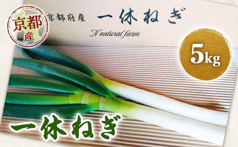 一休ねぎ 5kg 京都府 京田辺市 ネギ 野菜 京野菜