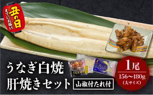 《丑の日までにお届け予定(7月20日～7月31日)》うなぎ白焼(大サイズ)・肝焼きセット_M069-022-U2