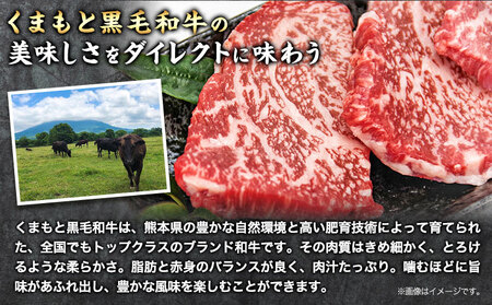 くまもと黒毛和牛の牛まぶし 80g×4パック 牛肉 冷凍 《30日以内に出荷予定(土日祝除く)》 熊本県 山江村 くまもと黒毛和牛 黒毛和牛 冷凍 牛まぶし ももステーキ タレ付き 送料無料 富士商株