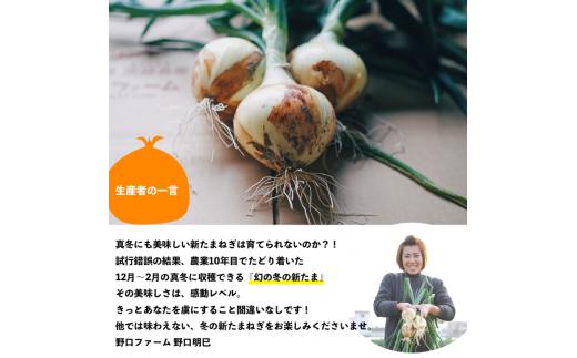 【野口ファーム】幻の冬の新たまねぎ 10kg　約30個入　◆配送12月〜