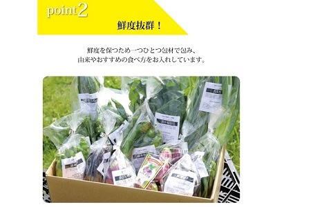 【3回定期便】旬の京野菜　毎月お届けスペシャルコース（全3回） 《野菜定期便 野菜詰め合わせ 野菜セット 京野菜 旬の野菜 新鮮野菜 有機野菜 減農薬》 ※沖縄・その他離島は配送不可 [045KH00