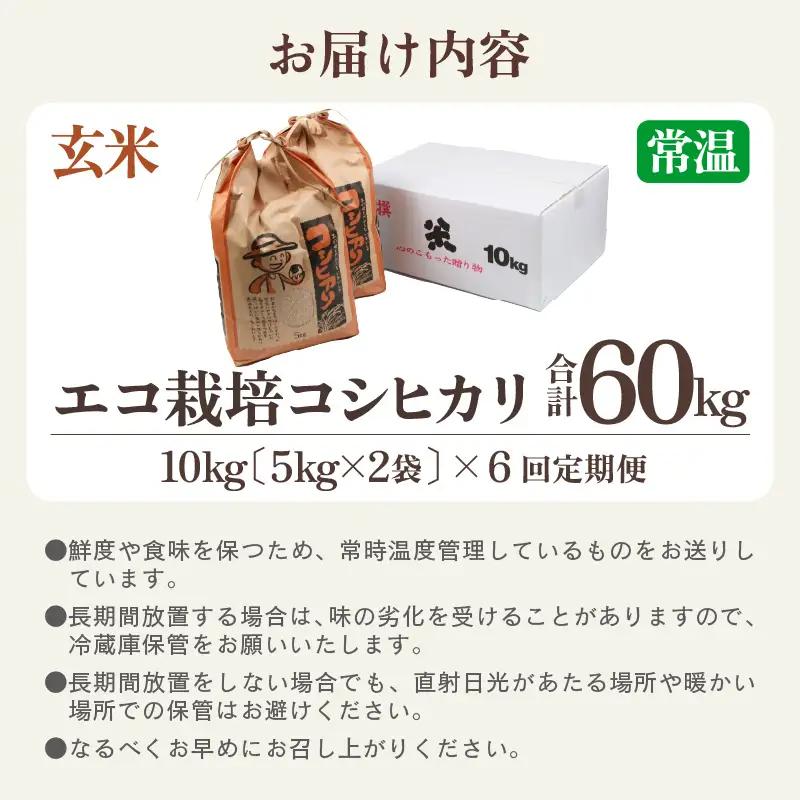 【先行予約】【令和8年産 新米】《定期便6回》エコ栽培コシヒカリ 玄米10kg（5kg×2袋）計60kg ／ 鮮度抜群 福井県産 こしひかり ご飯 新鮮 玄米 ※2026年10月上旬以降順次発送 [a