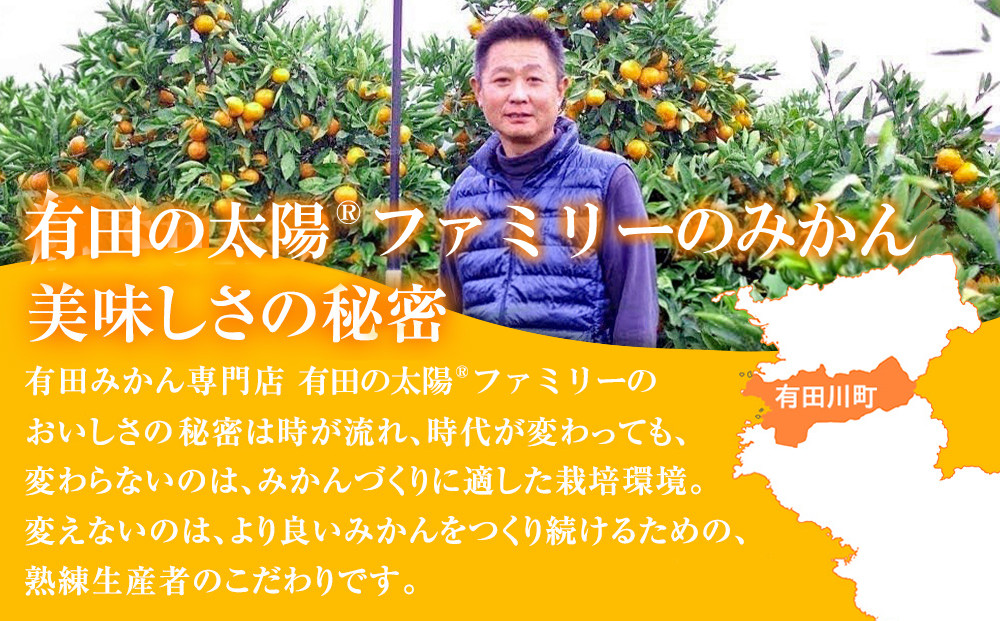 有田みかん専門店 有田の太陽®ファミリー 早生または晩生 有田みかん 9.5kg＋補償分100g 山採れ・サイズ・等級 混合