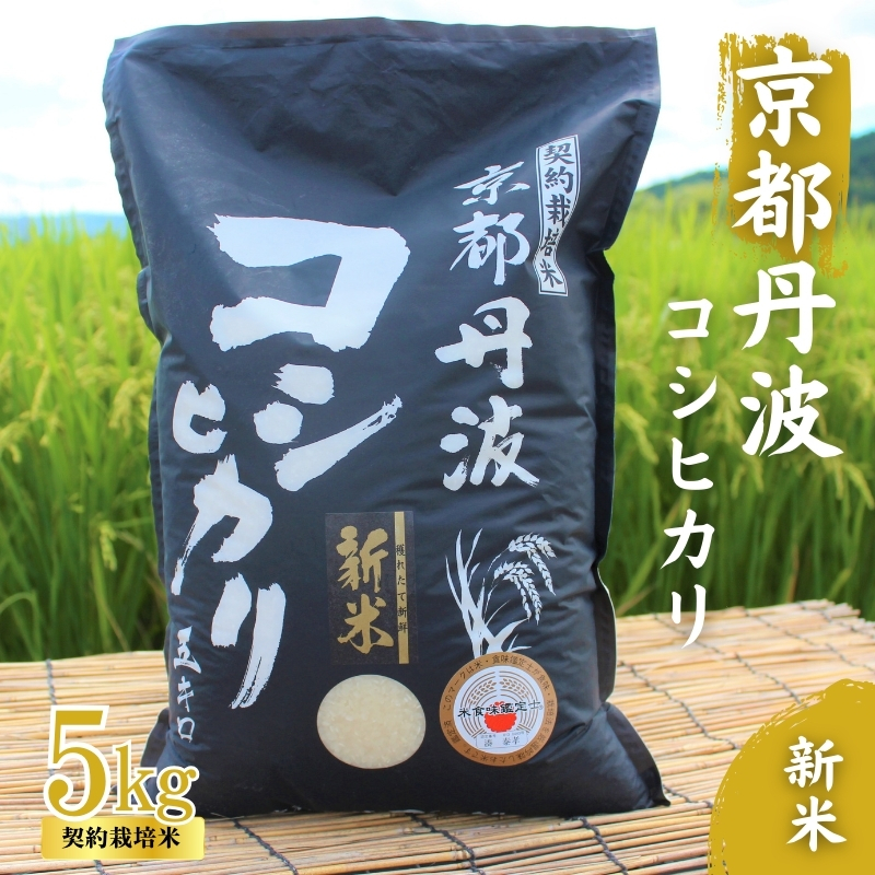 令和6年産 京都丹波産 こしひかり 5kg　契約栽培米