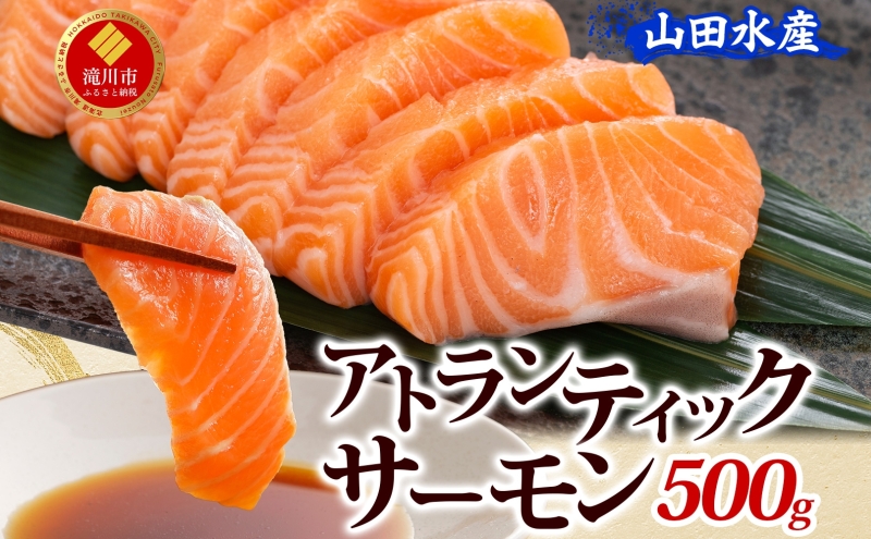 山田水産 アトランティックサーモン 500g 鮭 海鮮 サーモン 生食用 刺身用 サケ さけ シャケ しゃけ 魚 魚介類 刺身 寿司 海鮮丼 丼 新鮮 おかず おつまみ 海の幸 送料無料 山田水産 北海道 滝川市