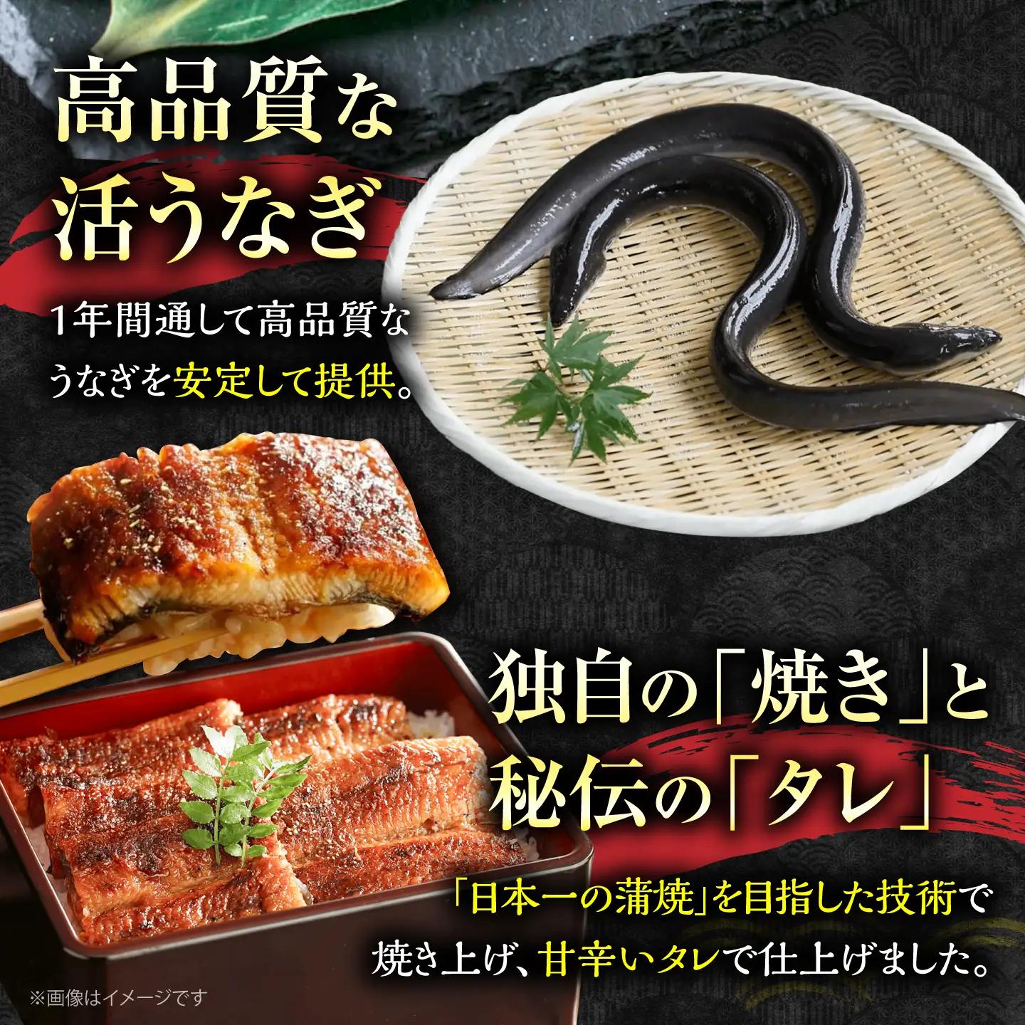 うなぎ 蒲焼大5尾 ウナギ 国産 VAD004
