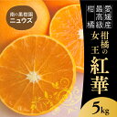 【ふるさと納税】紅華（生果）約5kg　※2024年11月下旬～12月下旬頃に順次発送予定