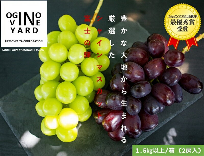 【ふるさと納税】 2025年秋収穫先行予約 山梨県産 富士の輝＆シャインマスカット 1．5kg以上／箱 2房入 ふるさと納税 シャインマスカット 富士の輝き ぶどう 黒ぶどう マスカット 葡萄 果物 フルーツ 2房 おすすめ 山梨県 南アルプス市 送料無料 ALPAK013
