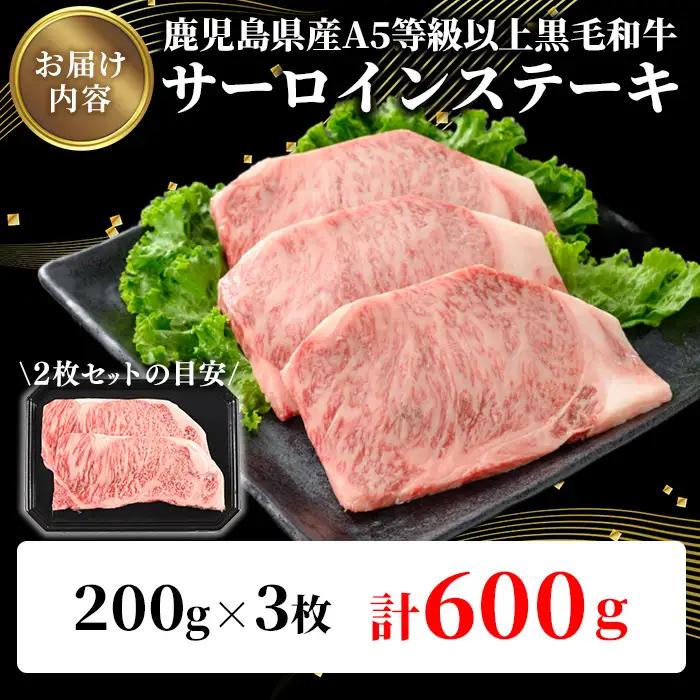 鹿児島県産 A5等級以上 黒毛和牛 霜降り サーロイン ステーキ 計600g(200g×3枚)  牛肉 【ビーフ倉薗】C42