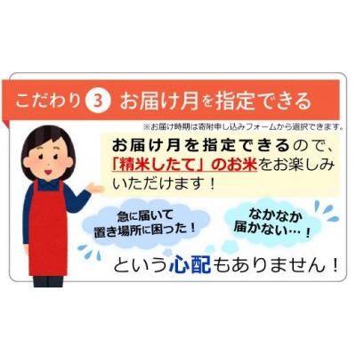 ふるさと納税 甲佐町 令和7年産【定期便3ヶ月】 無洗米16kg【配送指定可】【ZQ】 |  | 03