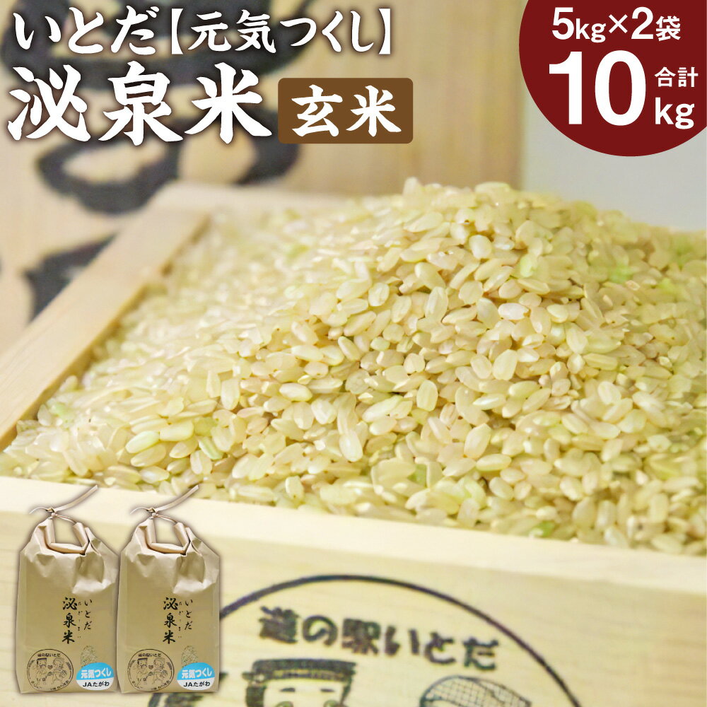【ふるさと納税】【令和7年産】いとだ泌泉米 玄米 10kg (5kg×2袋) 元気つくし ご飯 お米 福岡県 糸田町産 送料無料