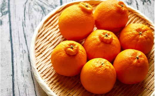  甘みと旨味がぎゅっと詰まった逸品！越冬完熟「きみのデコ」(デコポンと同品種) 約1.5kg　サイズ混合 L以上 ご家庭用(秀優混合)/デコポン 不知火 柑橘  和歌山県 越冬 有機 【kmf012】