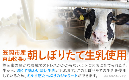 ひまわりの種ジェラート 30個セット　ジェラート アイス