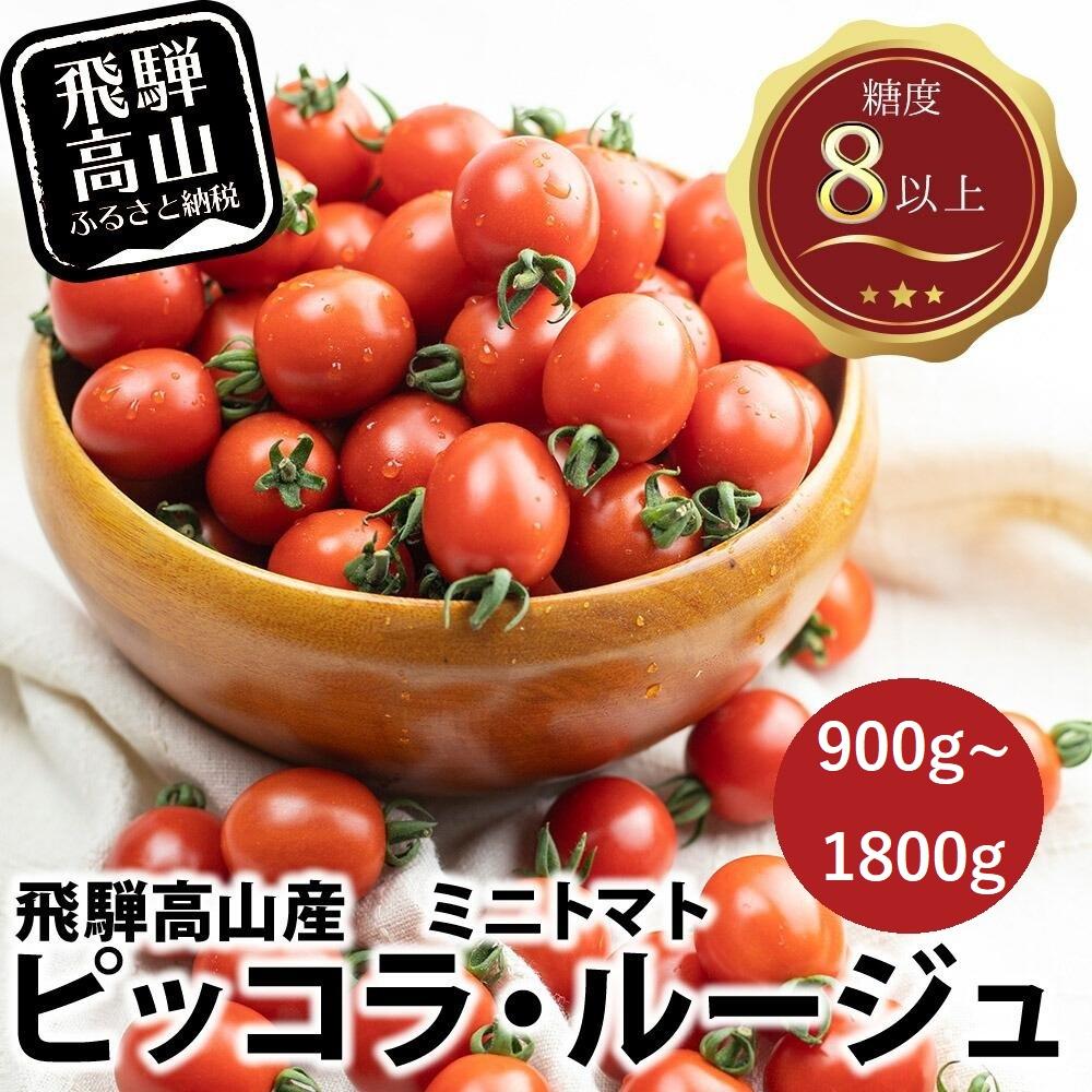 【ふるさと納税】【先行予約】濃厚ミニトマト ピッコラ・ルージュ 900g～1800g | 減農薬栽培 フルーツトマト ミニトマト トマト 甘い 農家直送 産地直送 肉厚 糖度 高冷地 野菜 減農薬 飛騨高山 新葉ファーム FV008MP