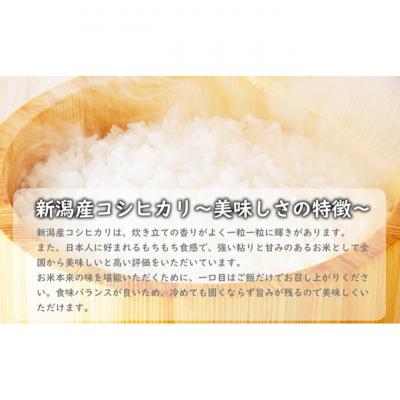 ふるさと納税 新潟市 新潟産コシヒカリ10kg [54071045] |  | 01
